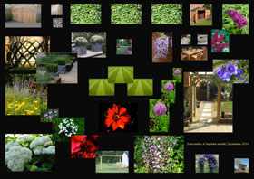 Garden design mood board